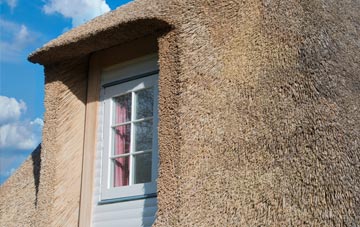 Kintra thatch roof disadvantages